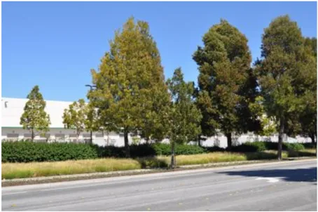 A photo showing landscaping screening loading docks.