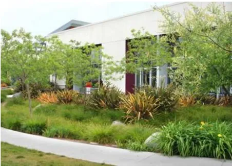 A photo of landscaping.