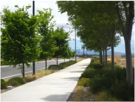 A photo of a landscape strip and sidewalk.