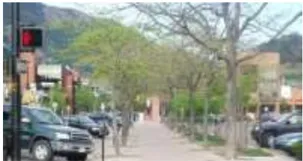 A photo of trees lining a sidewalk.