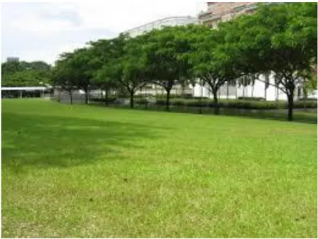 A photo of an open space area with buildings in the background.