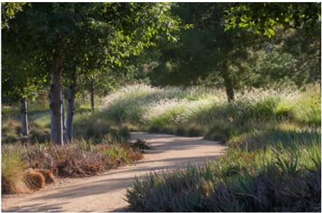 A photo of an open space area with a walking path.