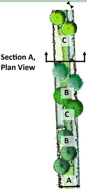 An image showing conceptual landscape design.