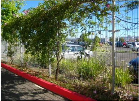 A photo of landscaping on a fence to conceal parking.