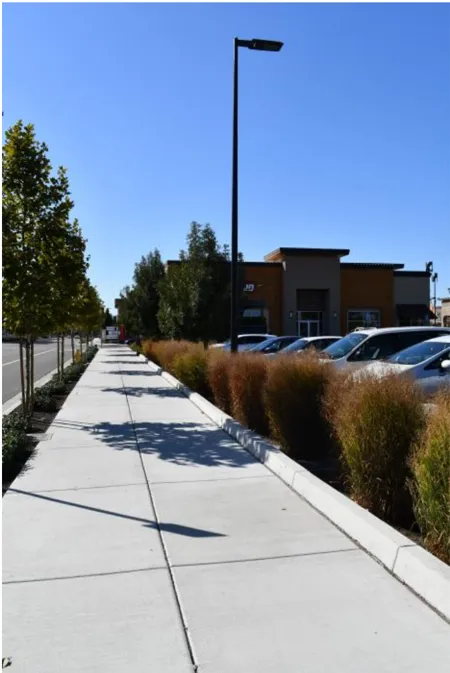 A photo of a sidewalk and landscaping screening parking.