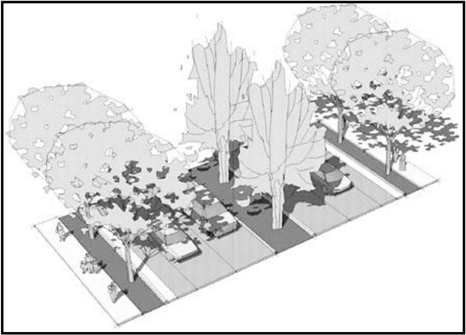 A roadway cross section.