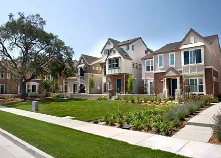 Suburban homes with an old-growth oak tree in the front yard.