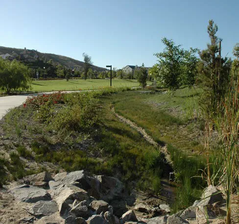 A landscaped park with a small swale