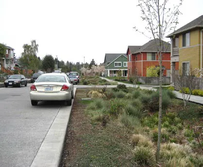 Street with landscaped ditch which catches stormwater.