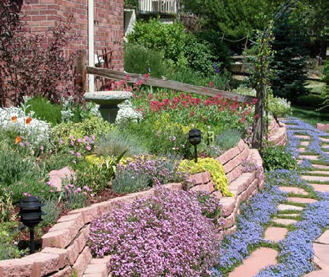 Garden adjacent to a house with a variety of low-water use ornamental plants.