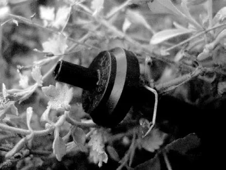 Dripper for a plant