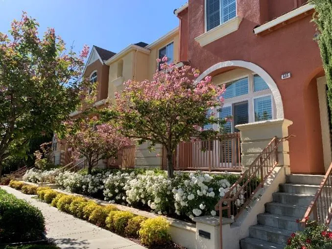 Townhomes with raised porches facing the adjacent street