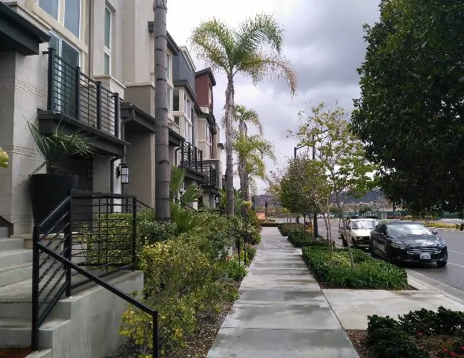 Street trees in a planter between the sidewalk and the road.