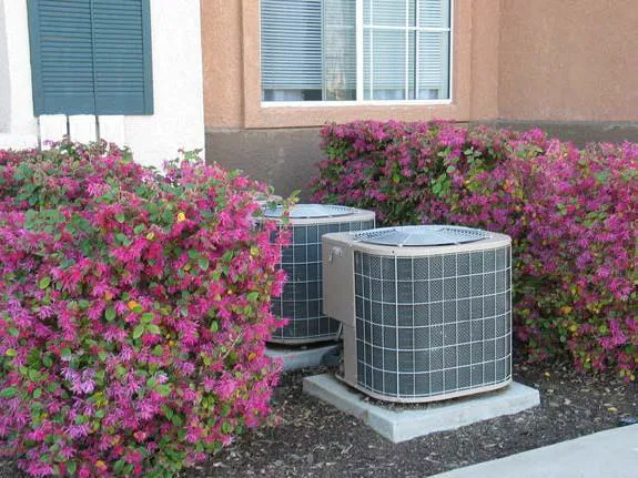 Air conditioning units concealed by landscaping.