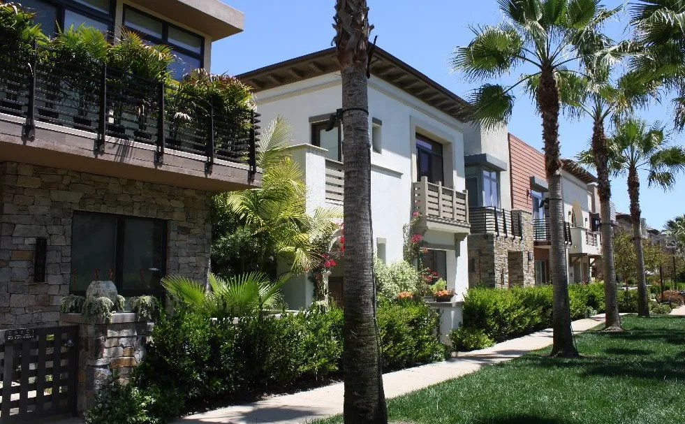 Palms trees providing screening at a townhome site.