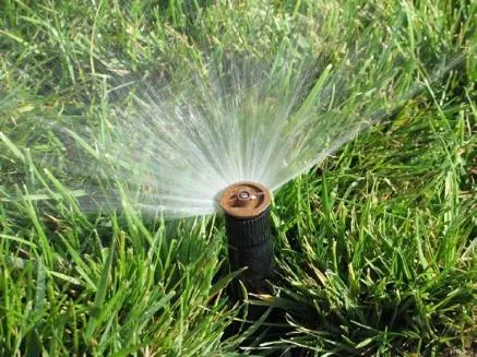 A sprinkler head spraying water.