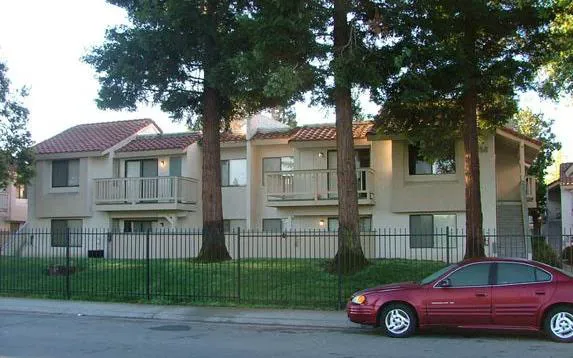 Three tall Redwoods providing street screening for a multifamily building.