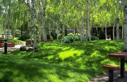 Small natural hills and trees being used in common space seating area.