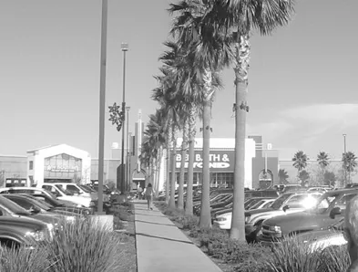 A parking lot with defined pedestrian walkways.