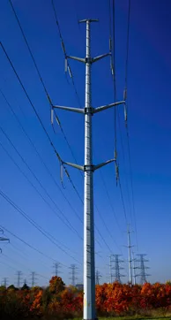 Wireless communication facility mounted on a utility pole