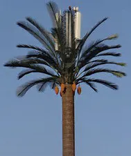 Wireless communication with a palm tree stealth design