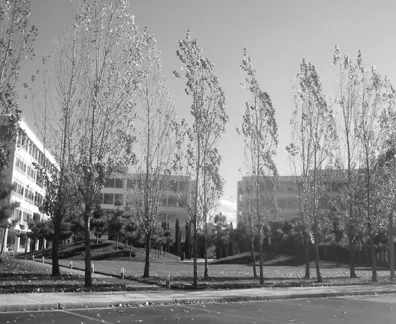 Business park with building entrances facing a courtyard.