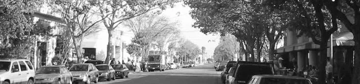 A variety of trees along a mix-use neighborhood street.