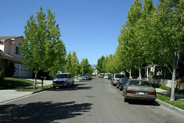 A narrow road in a residential neighborhood.