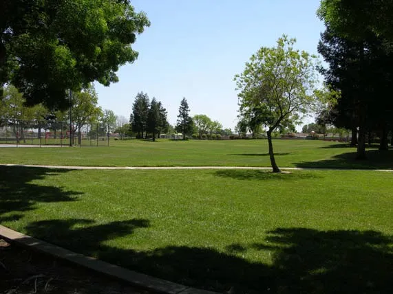 Photo of a Park