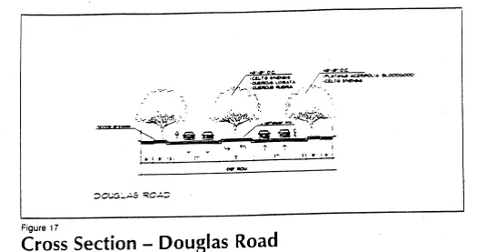 Cross section of Douglas Road with greenery showing arterial road.