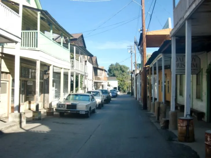 Decorative - Was Used for Cover