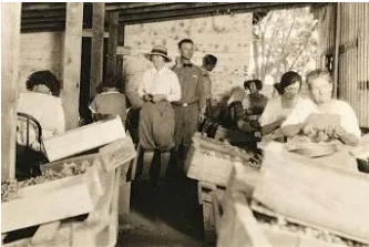 Multiple people inside of an old packing shed.