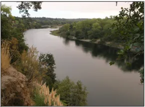 A river bordered by trees and shrubs.