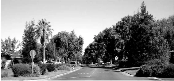 A two lane minor residential road.