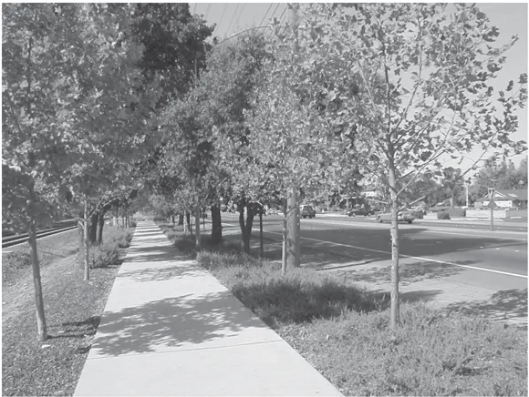 A seperated sidewalk along a major road with landscpaing/trees on either side.