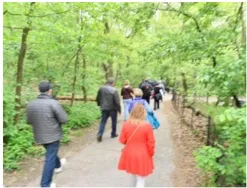 Group of people walking through a parkway trail.