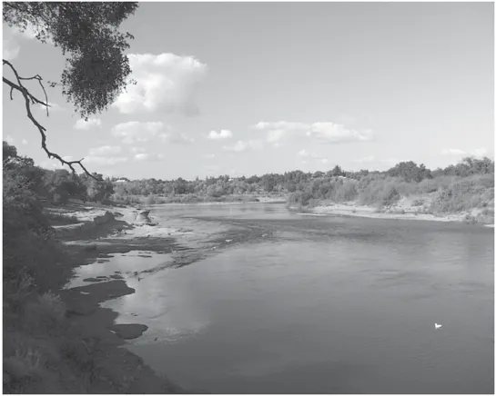 The American River near the Rossmoor Bar area.