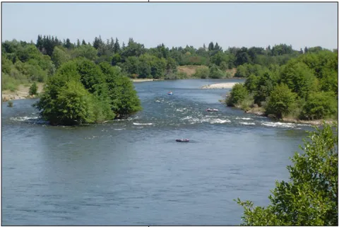 A river lined by trees and shrubs.